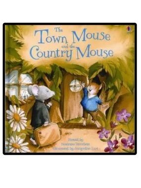 BUNDLE & SAVE🎉 Usborne The Town Mouse & the Country Mouse Book